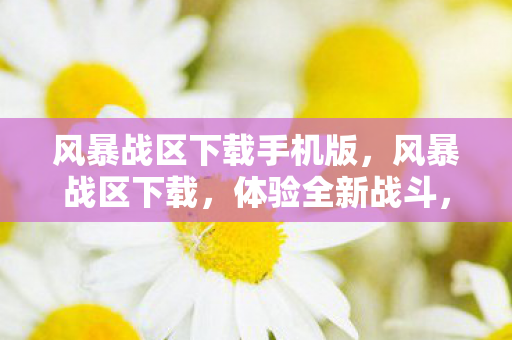 风暴战区下载手机版，风暴战区下载，体验全新战斗，开启你的冒险之旅