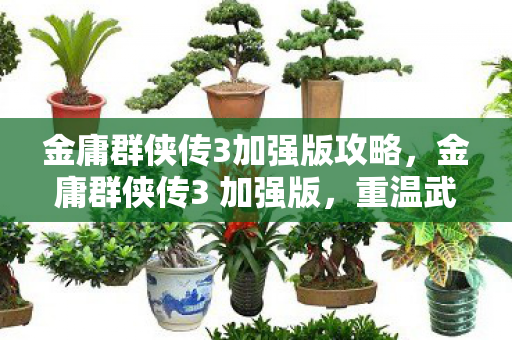 金庸群侠传3加强版攻略，金庸群侠传3 加强版，重温武侠梦，再续江湖情