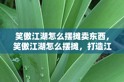 笑傲江湖怎么摆摊卖东西，笑傲江湖怎么摆摊，打造江湖气息的市集摊位