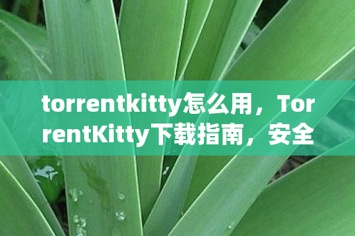 torrentkitty怎么用，TorrentKitty下载指南，安全、合法获取资源