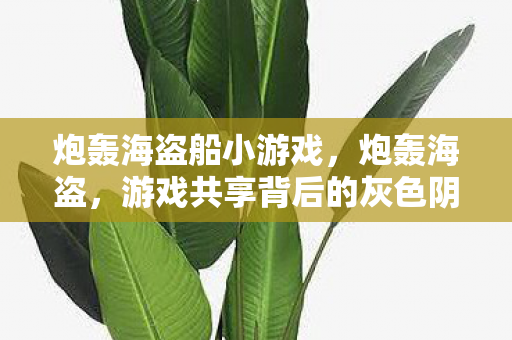 炮轰海盗船小游戏，炮轰海盗，游戏共享背后的灰色阴影