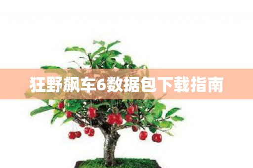 狂野飙车6数据包下载指南