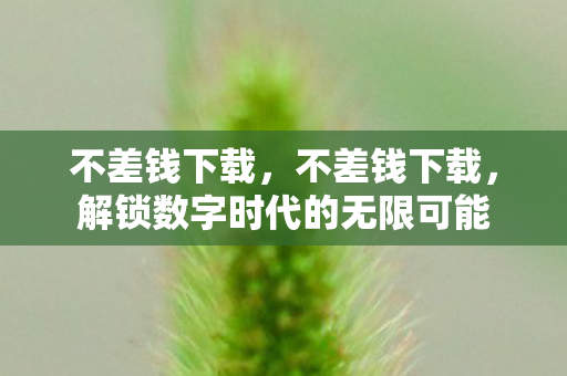 不差钱下载，不差钱下载，解锁数字时代的无限可能