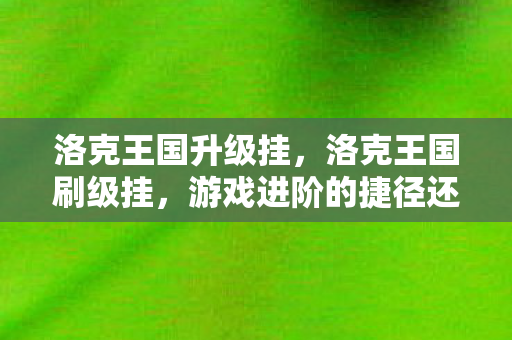洛克王国升级挂，洛克王国刷级挂，游戏进阶的捷径还是陷阱？