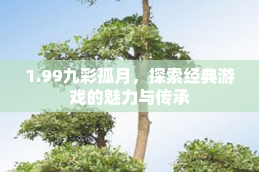 1.99九彩孤月,探索经典游戏的魅力与传承 1.99九彩孤月,探索经典游戏的魅力与传承