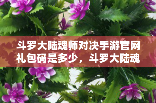 斗罗大陆魂师对决手游官网礼包码是多少，斗罗大陆魂师对决手游，官网礼包码助你畅游斗罗世界