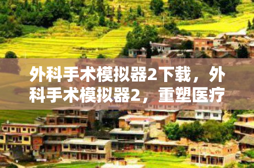 外科手术模拟器2下载，外科手术模拟器2，重塑医疗教育的未来