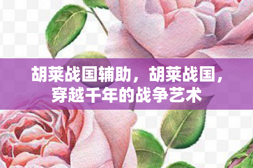 胡莱战国辅助,胡莱战国,穿越千年的战争艺术 胡莱战国辅助,胡莱战国,穿越千年的战争艺术