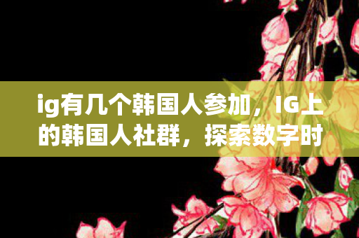 ig有几个韩国人参加，IG上的韩国人社群，探索数字时代的文化交流与身份认同