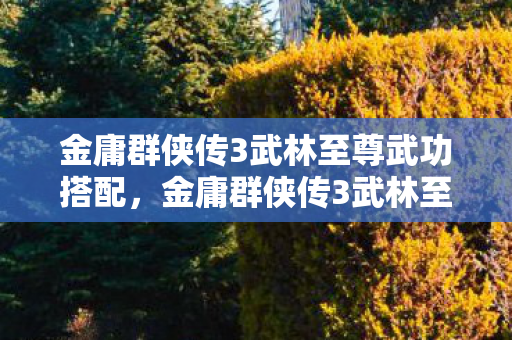 金庸群侠传3武林至尊武功搭配，金庸群侠传3武林至尊，探寻武侠世界的无尽魅力