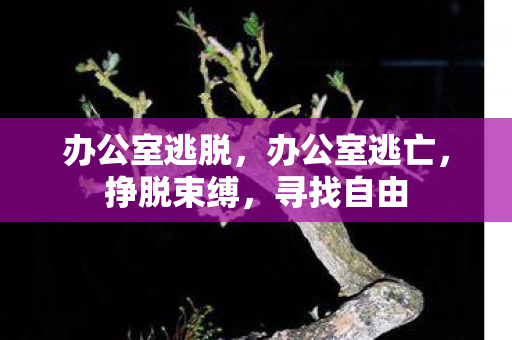 办公室逃脱，办公室逃亡，挣脱束缚，寻找自由