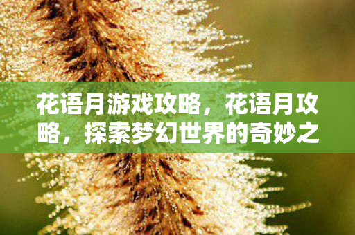 花语月游戏攻略,花语月攻略,探索梦幻世界的奇妙之旅 花语月游戏攻略,花语月攻略,探索梦幻世界的奇妙之旅