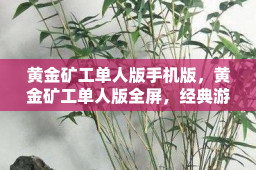 黄金矿工单人版手机版，黄金矿工单人版全屏，经典游戏的全新体验