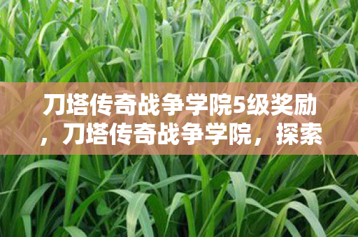 刀塔传奇战争学院5级奖励,刀塔传奇战争学院,探索策略与智慧的殿堂 刀塔传奇战争学院5级奖励,刀塔传奇战争学院,探索策略与智慧的殿堂