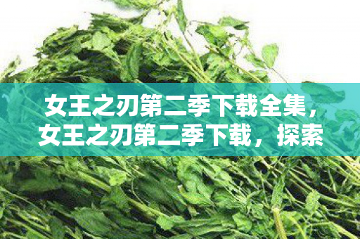 女王之刃第二季下载全集，女王之刃第二季下载，探索正版资源获取途径