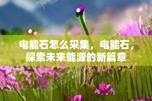 电能石怎么采集，电能石，探索未来能源的新篇章