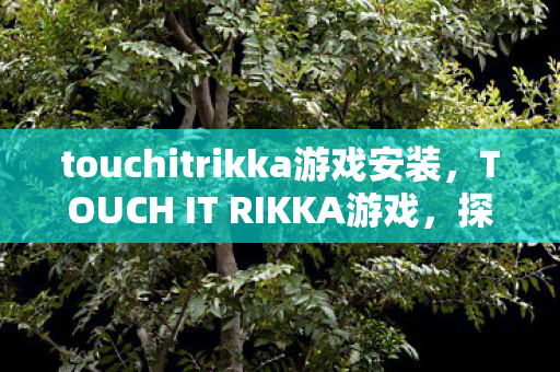 touchitrikka游戏安装，TOUCH IT RIKKA游戏，探索虚拟世界的奇妙之旅