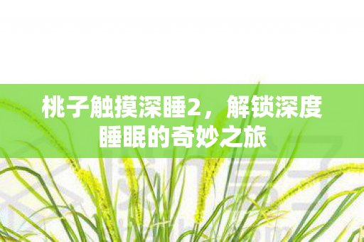 桃子触摸深睡2，解锁深度睡眠的奇妙之旅