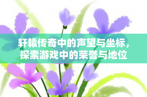 轩辕传奇中的声望与坐标，探索游戏中的荣誉与地位