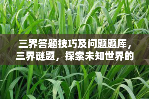 三界答题技巧及问题题库，三界谜题，探索未知世界的奇幻之旅