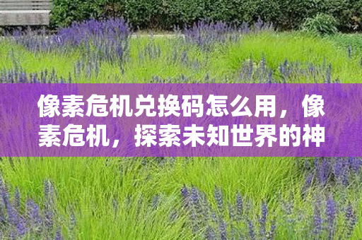 像素危机兑换码怎么用，像素危机，探索未知世界的神秘兑换码