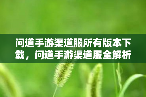 问道手游渠道服所有版本下载，问道手游渠道服全解析，版本多样性与独特魅力