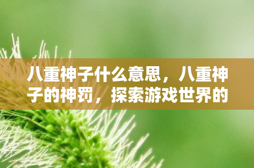 八重神子什么意思，八重神子的神罚，探索游戏世界的正义与秩序