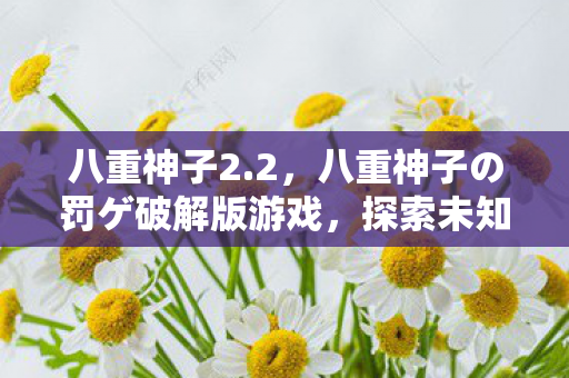 八重神子2.2，八重神子の罚ゲ破解版游戏，探索未知世界的冒险之旅