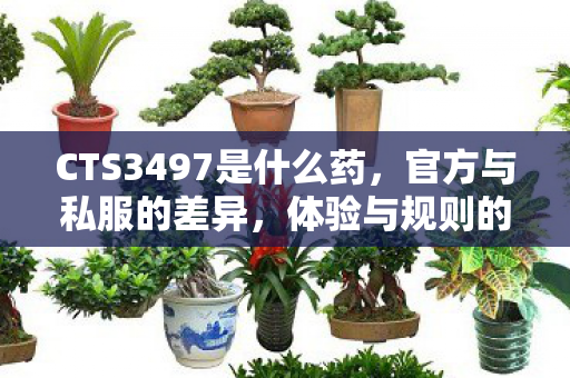 CTS3497是什么药，官方与私服的差异，体验与规则的碰撞