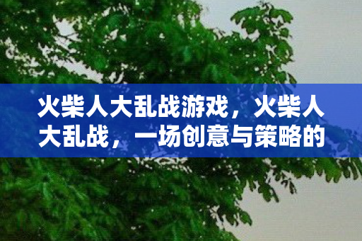 火柴人大乱战游戏，火柴人大乱战，一场创意与策略的激情碰撞