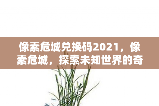 像素危城兑换码2021，像素危城，探索未知世界的奇妙之旅