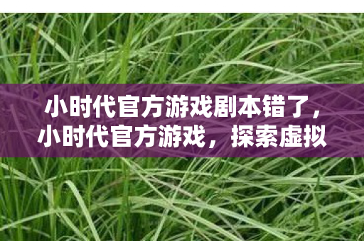 小时代官方游戏剧本错了，小时代官方游戏，探索虚拟世界的奇妙之旅