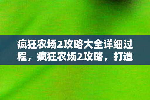 疯狂农场2攻略大全详细过程，疯狂农场2攻略，打造高效农场，赚取丰厚收益