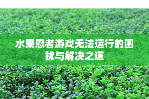 水果忍者游戏无法运行的困扰与解决之道