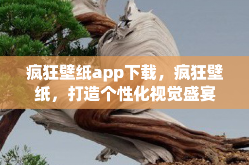 疯狂壁纸app下载，疯狂壁纸，打造个性化视觉盛宴