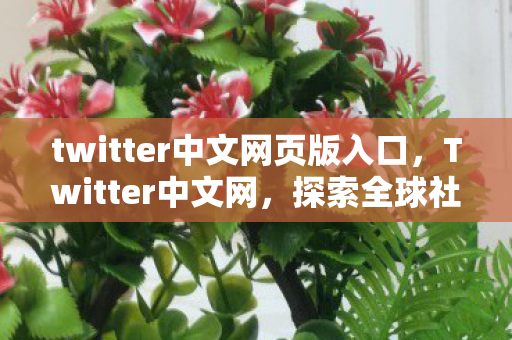 twitter中文网页版入口，Twitter中文网，探索全球社交新趋势