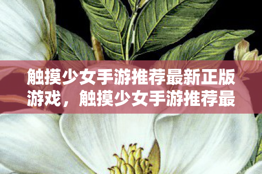 触摸少女手游推荐最新正版游戏，触摸少女手游推荐最新正版