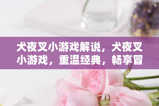 犬夜叉小游戏解说，犬夜叉小游戏，重温经典，畅享冒险