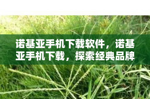 诺基亚手机下载软件，诺基亚手机下载，探索经典品牌的数字生活新篇章