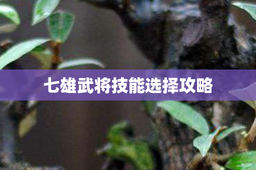 七雄武将技能选择攻略