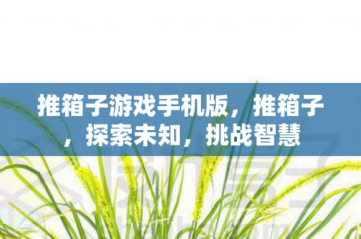 推箱子游戏手机版，推箱子，探索未知，挑战智慧