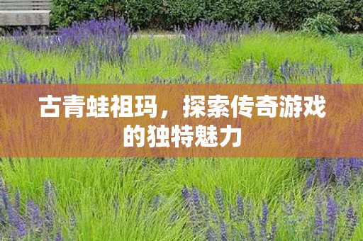 古青蛙祖玛，探索传奇游戏的独特魅力