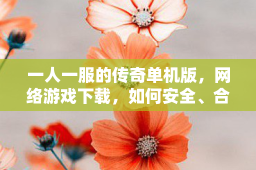 一人一服的传奇单机版，网络游戏下载，如何安全、合法地获取游戏资源
