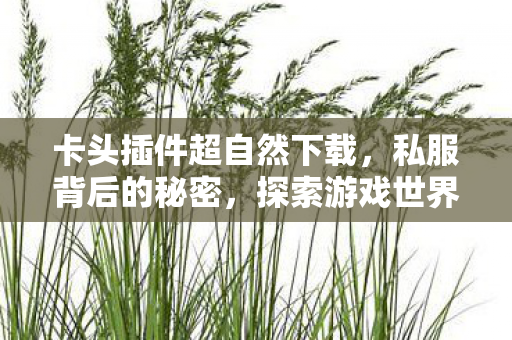 卡头插件超自然下载，私服背后的秘密，探索游戏世界的另类维度
