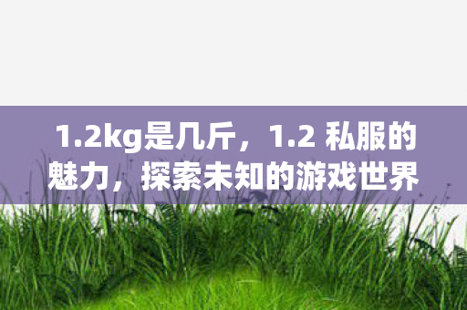 1.2kg是几斤，1.2 私服的魅力，探索未知的游戏世界