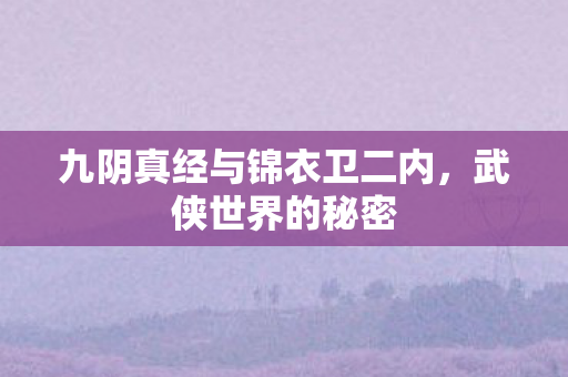 九阴真经与锦衣卫二内，武侠世界的秘密