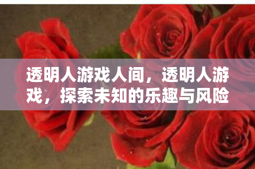 透明人游戏人间，透明人游戏，探索未知的乐趣与风险