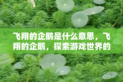 飞翔的企鹅是什么意思,飞翔的企鹅,探索游戏世界的无限可能 飞翔的企鹅是什么意思,飞翔的企鹅,探索游戏世界的无限可能