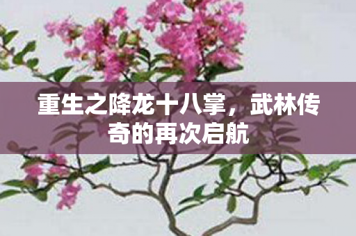 重生之降龙十八掌，武林传奇的再次启航