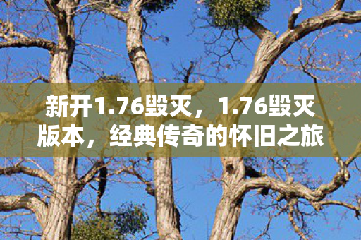 新开1.76毁灭，1.76毁灭版本，经典传奇的怀旧之旅